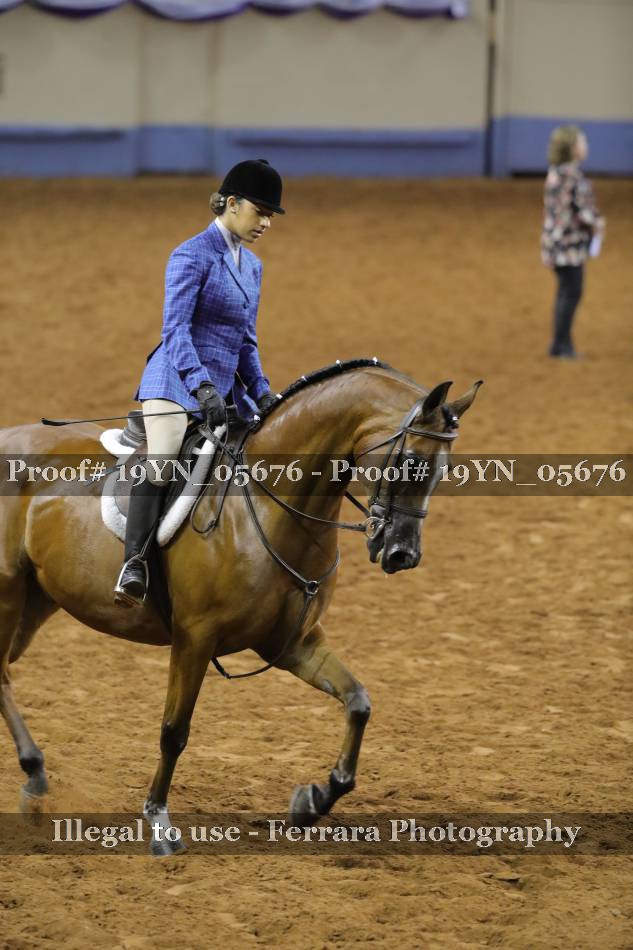 Proof 19YN_05676
