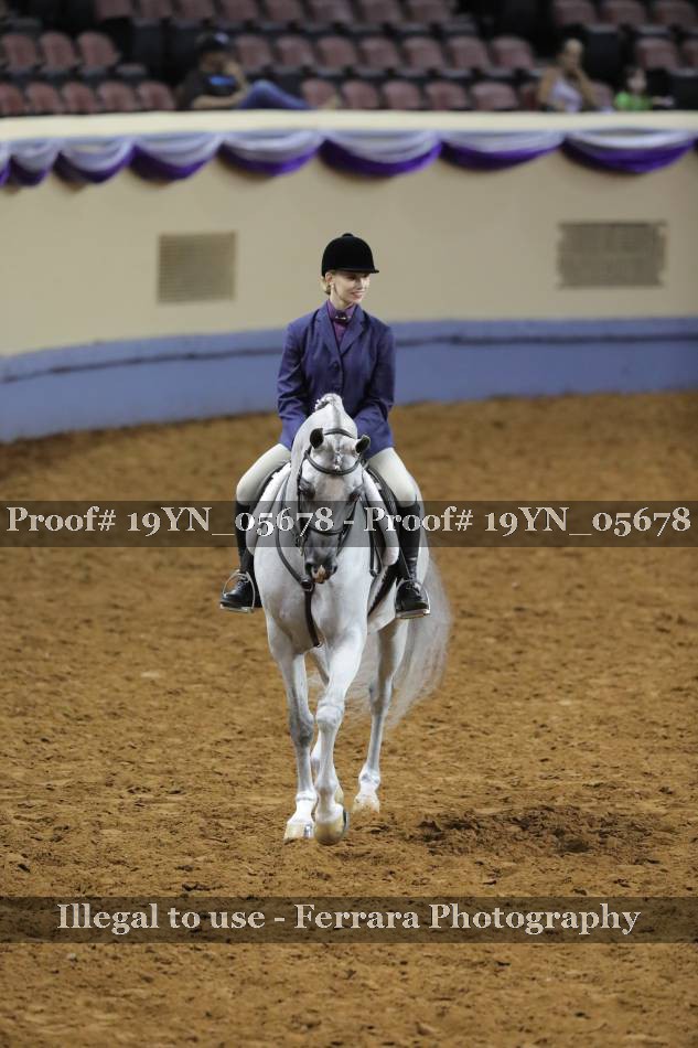 Proof 19YN_05678
