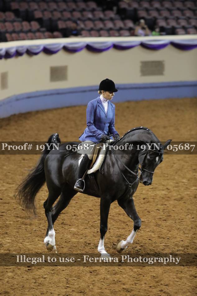 Proof 19YN_05687