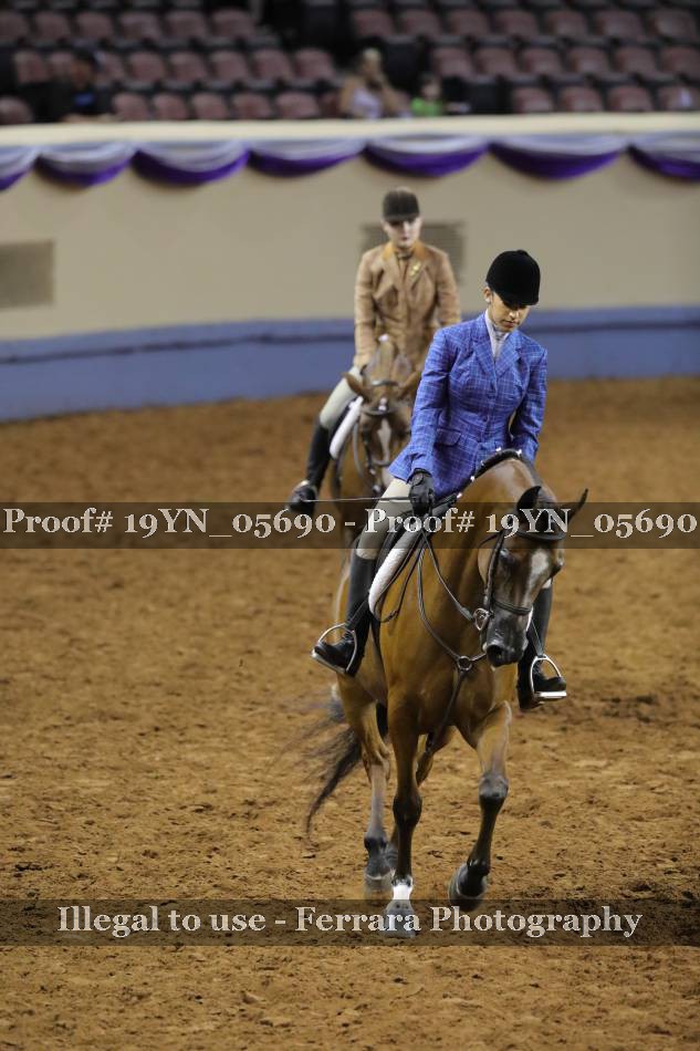 Proof 19YN_05690