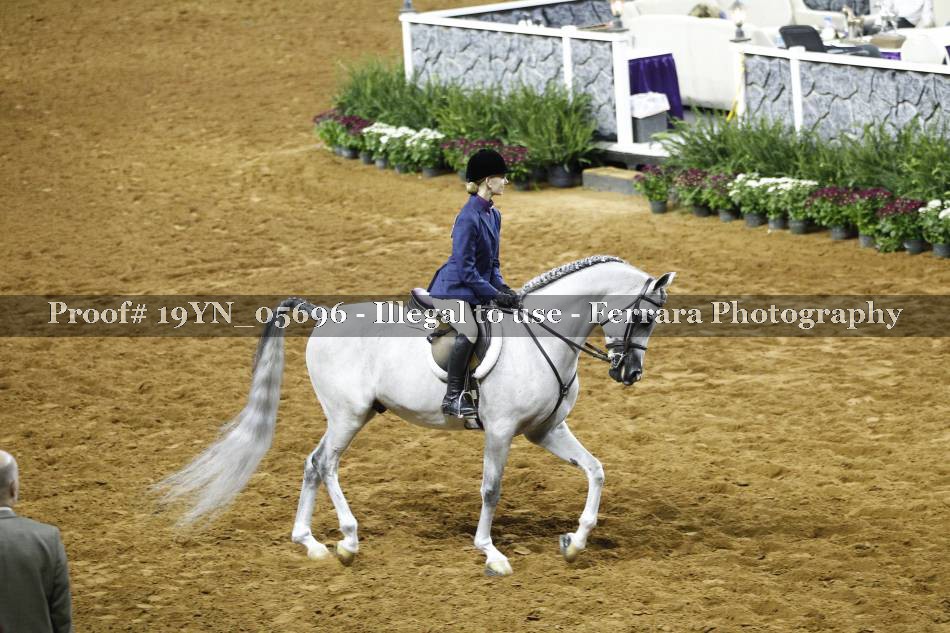 Proof 19YN_05696