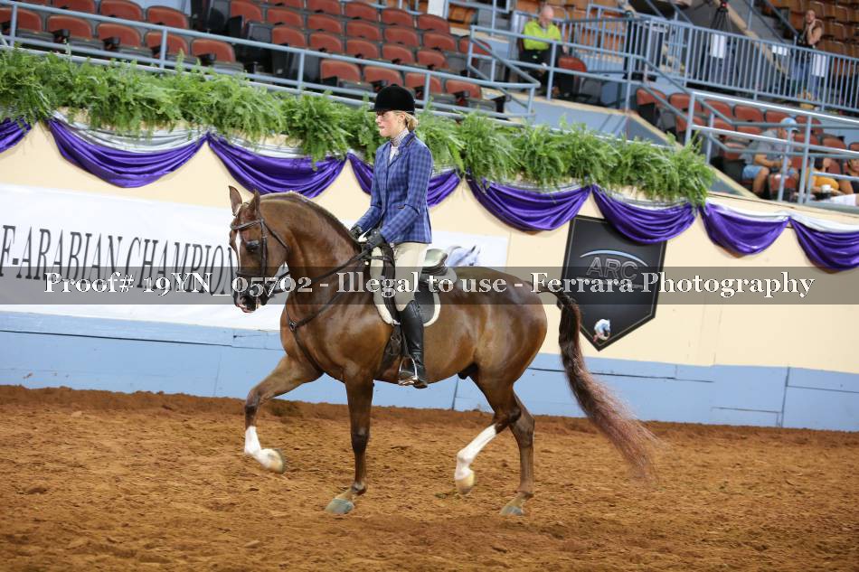 Proof 19YN_05702