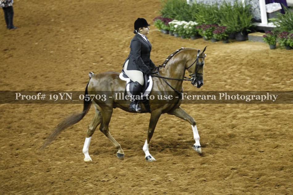 Proof 19YN_05703