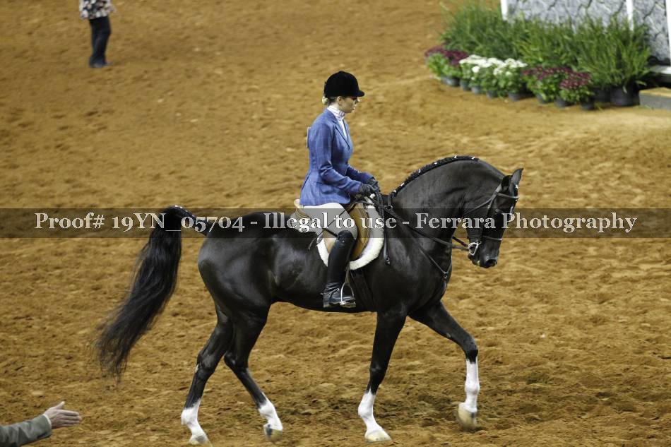 Proof 19YN_05704