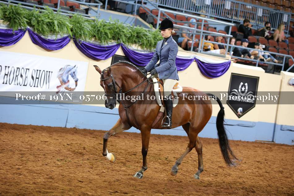 Proof 19YN_05706