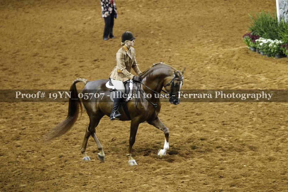 Proof 19YN_05707