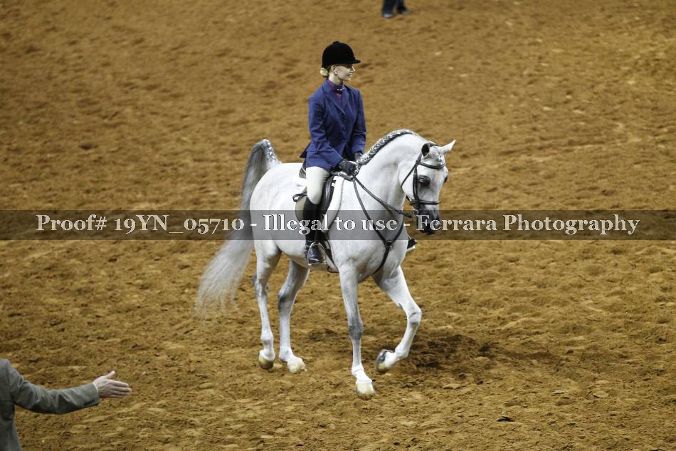 Proof 19YN_05710
