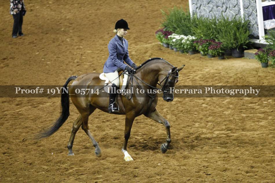 Proof 19YN_05714