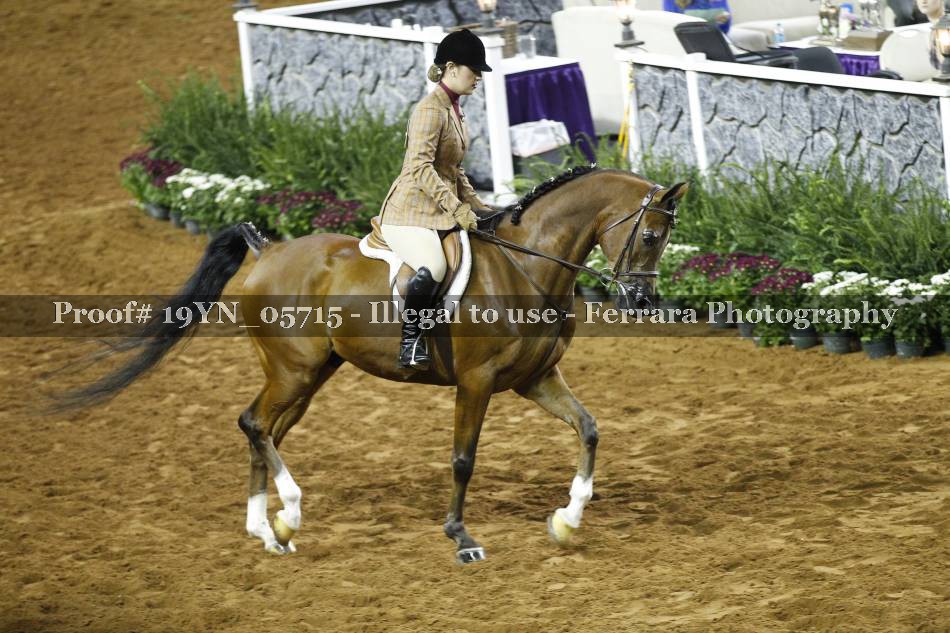 Proof 19YN_05715