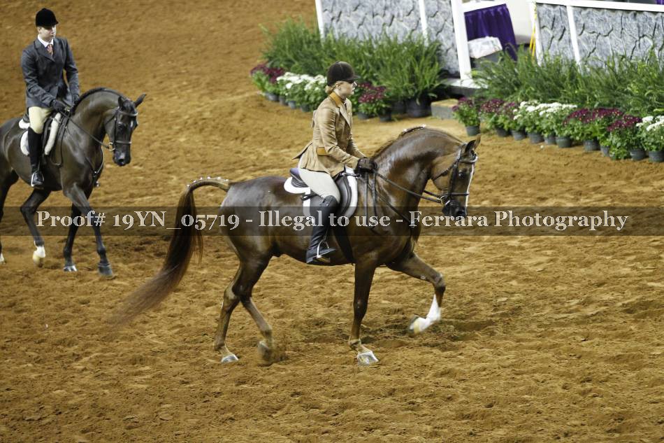 Proof 19YN_05719
