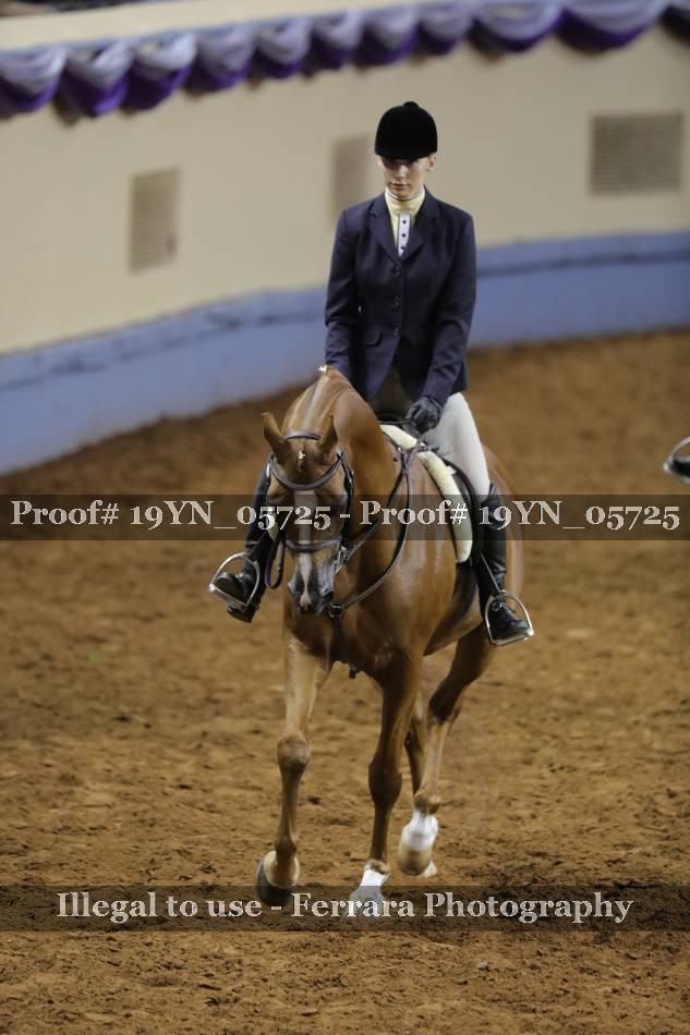 Proof 19YN_05725