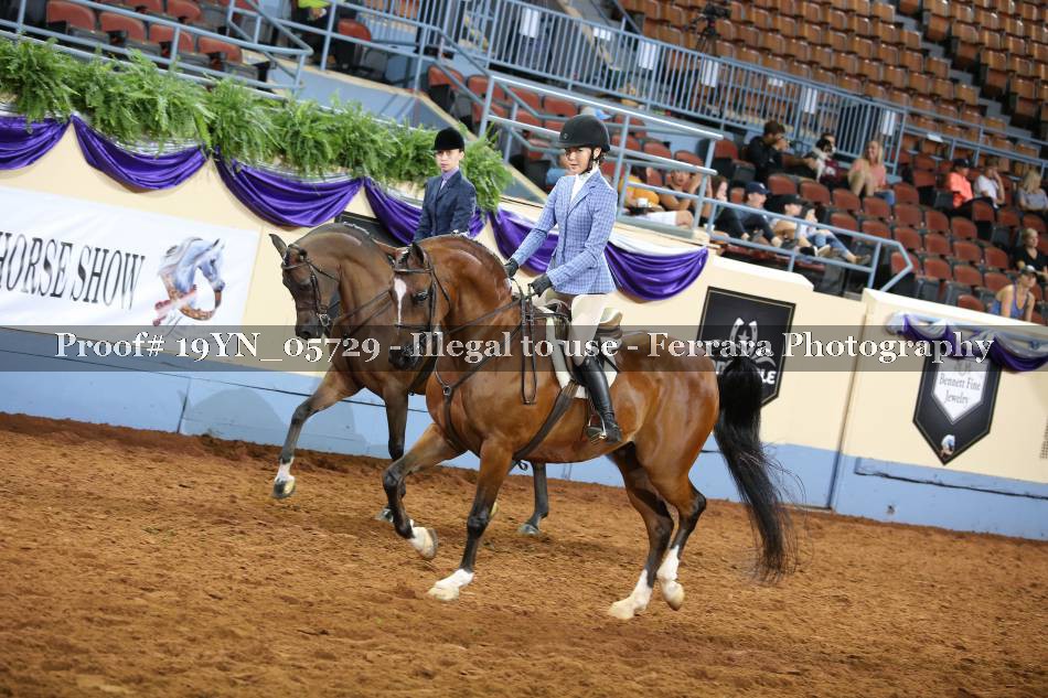 Proof 19YN_05729