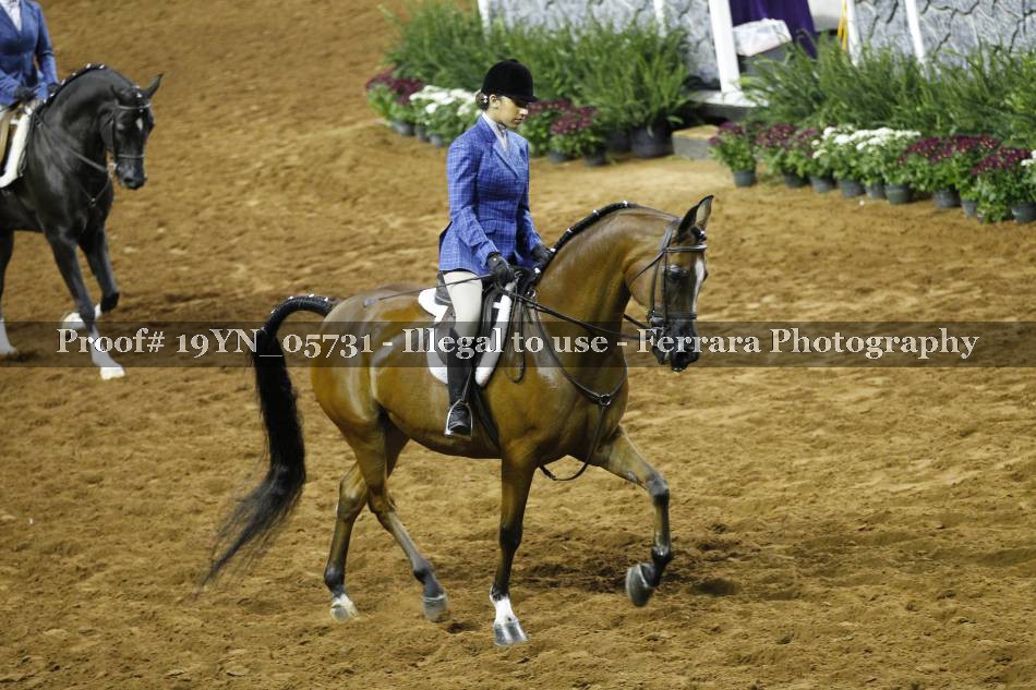 Proof 19YN_05731