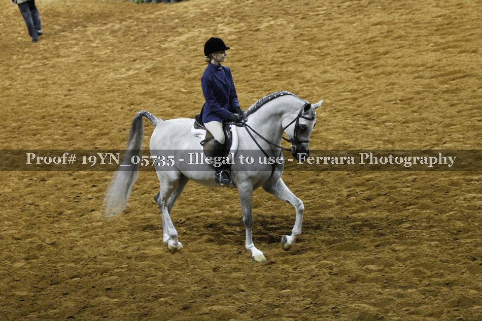 Proof 19YN_05735