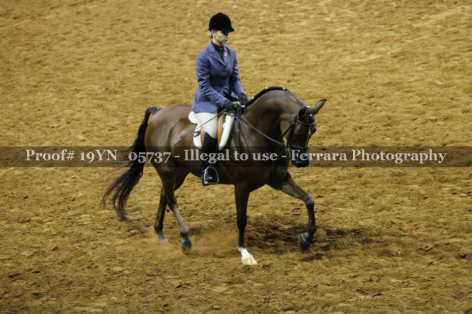 Proof 19YN_05737