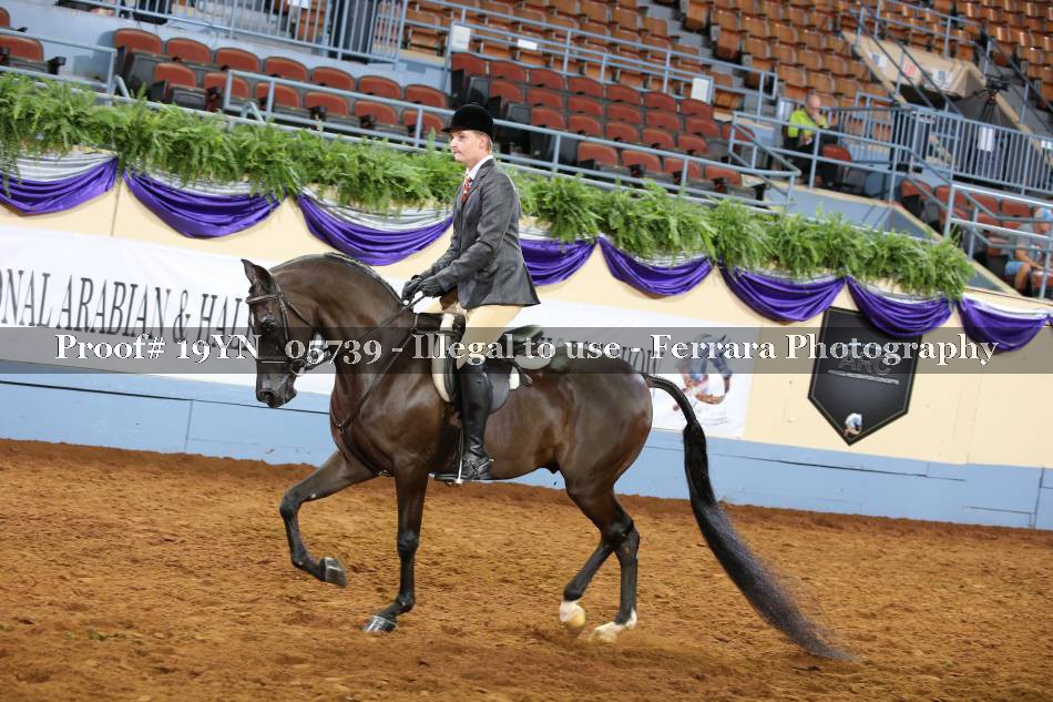 Proof 19YN_05739