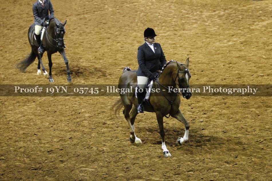 Proof 19YN_05745