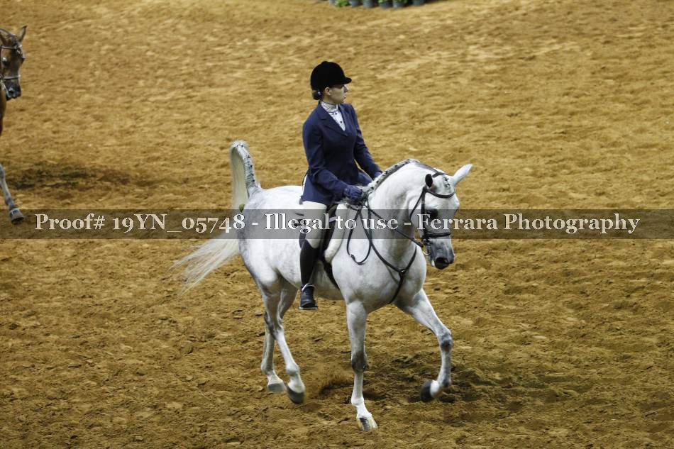 Proof 19YN_05748