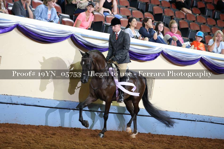 Proof 19YN_05753