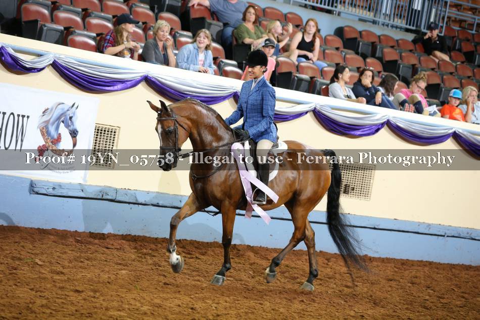 Proof 19YN_05758