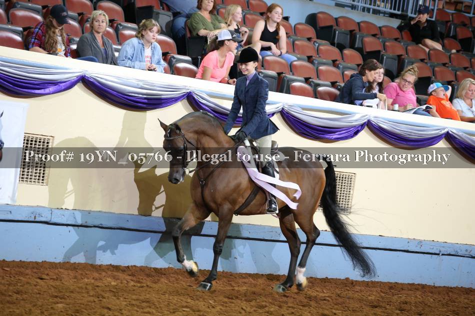 Proof 19YN_05766