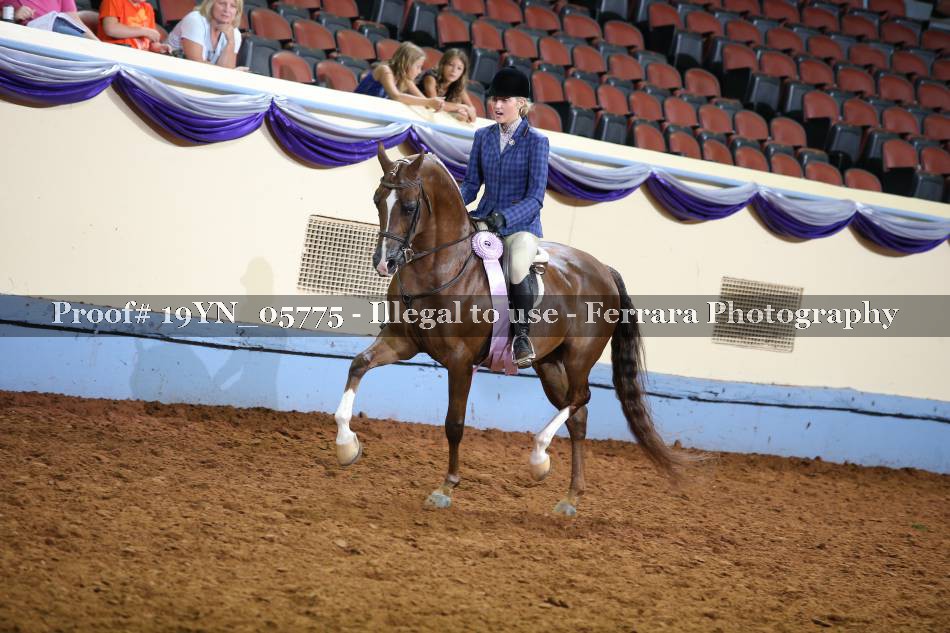 Proof 19YN_05775