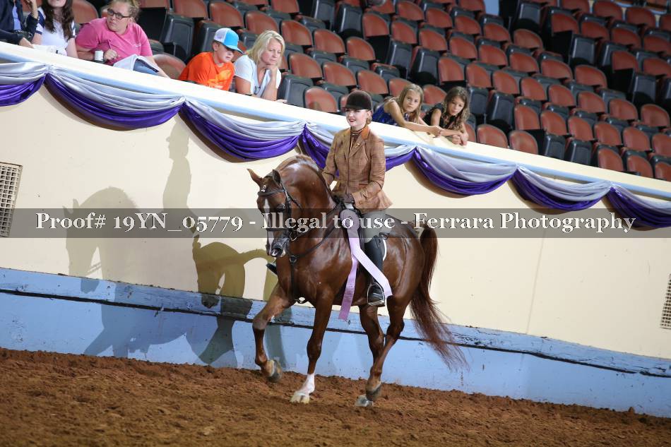 Proof 19YN_05779