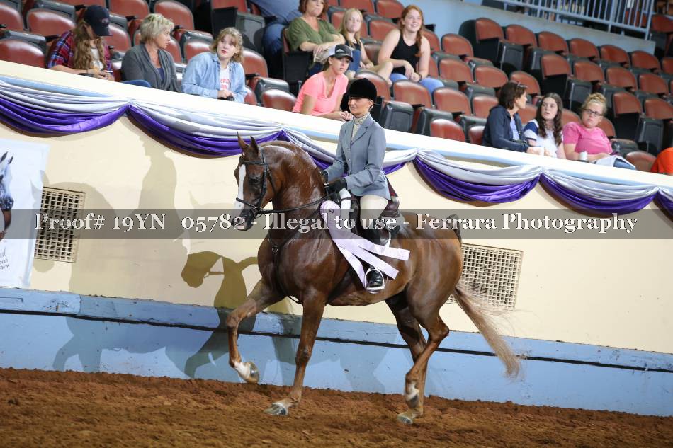 Proof 19YN_05782