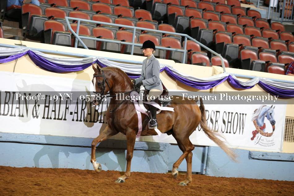 Proof 19YN_05783