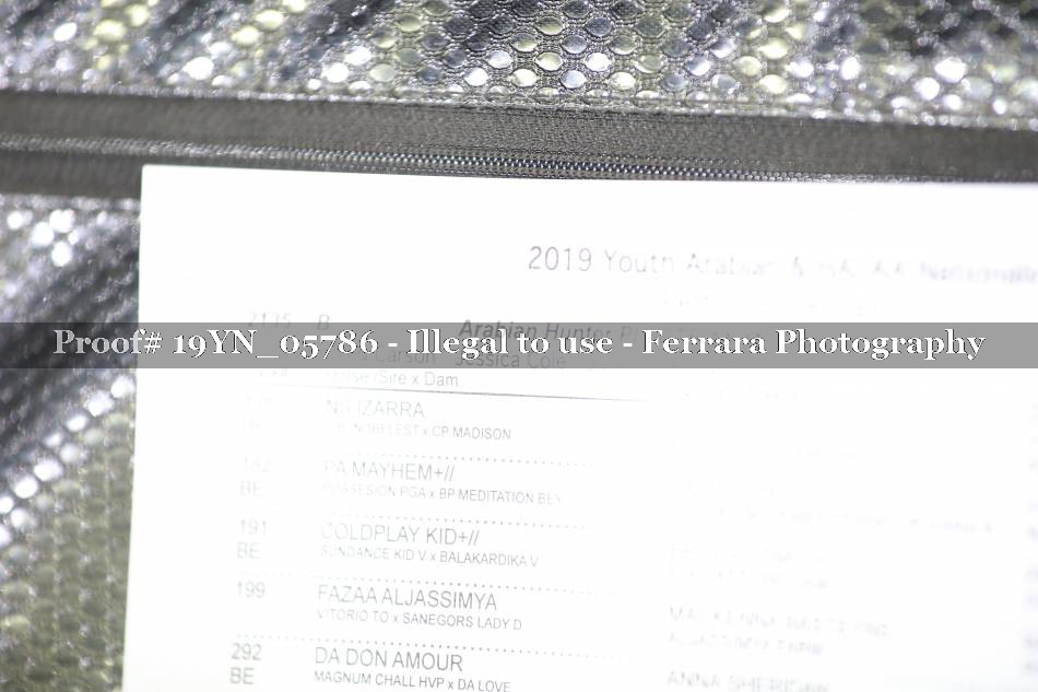 Proof 19YN_05786