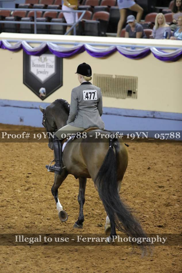 Proof 19YN_05788