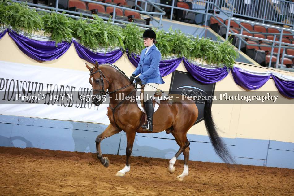Proof 19YN_05795