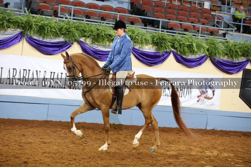Proof 19YN_05799