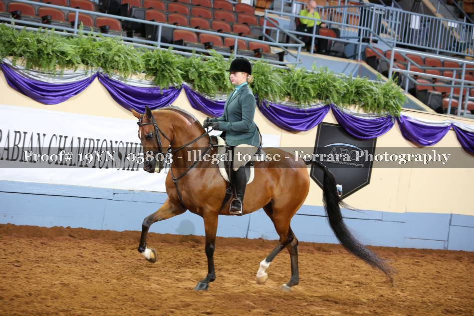 Proof 19YN_05803