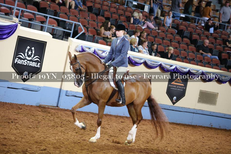 Proof 19YN_05805