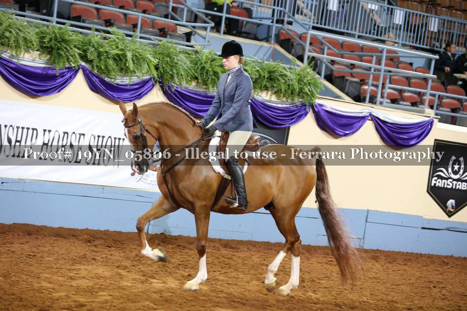 Proof 19YN_05806