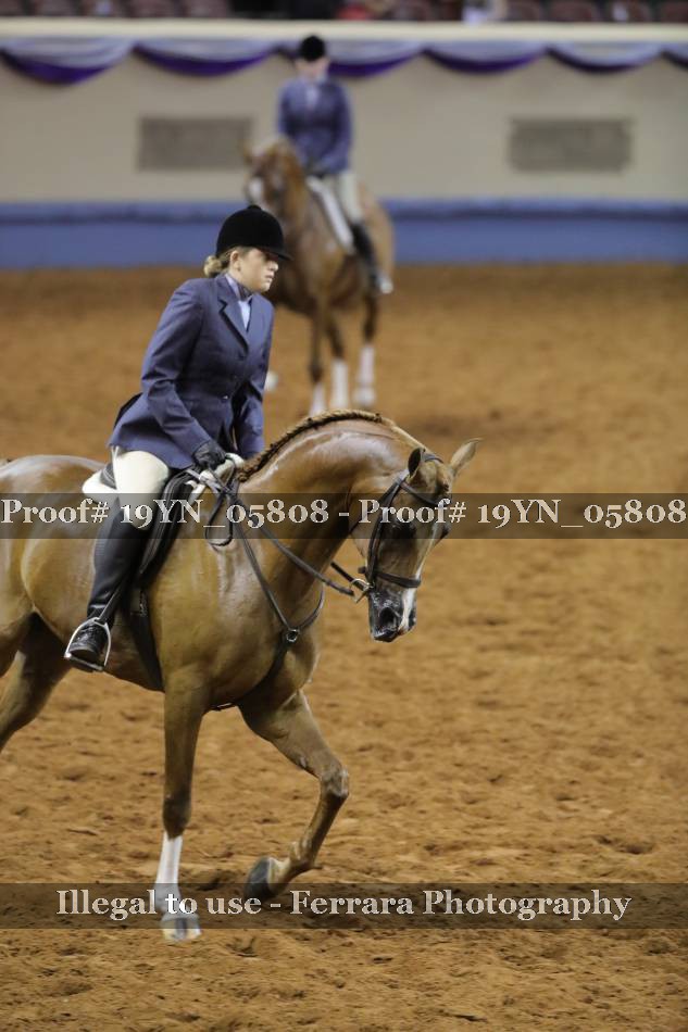 Proof 19YN_05808