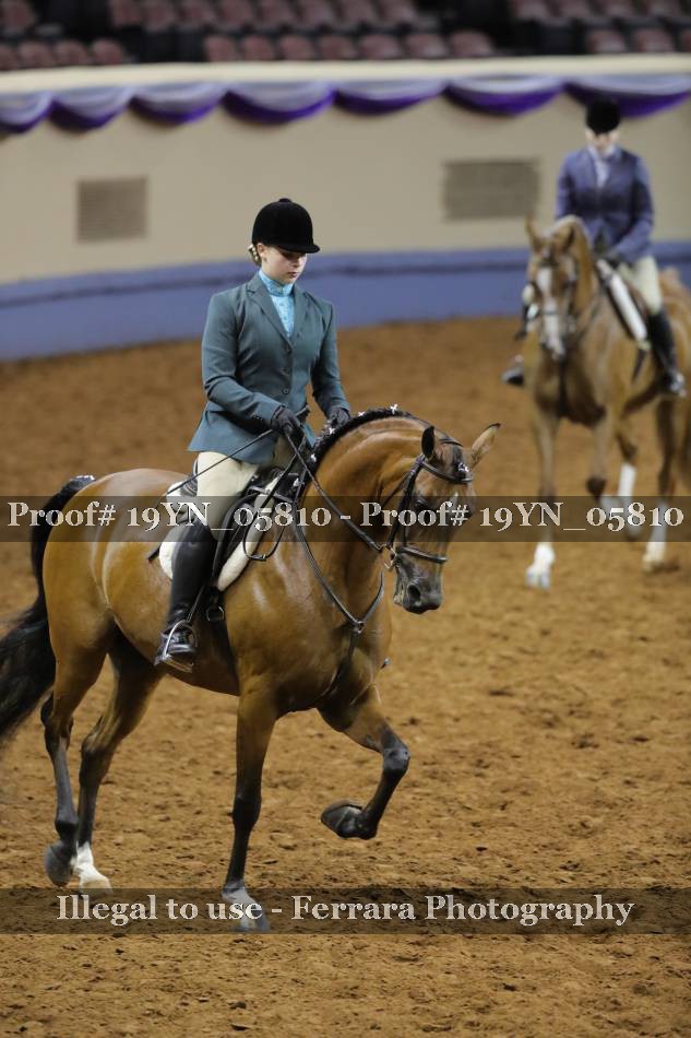 Proof 19YN_05810