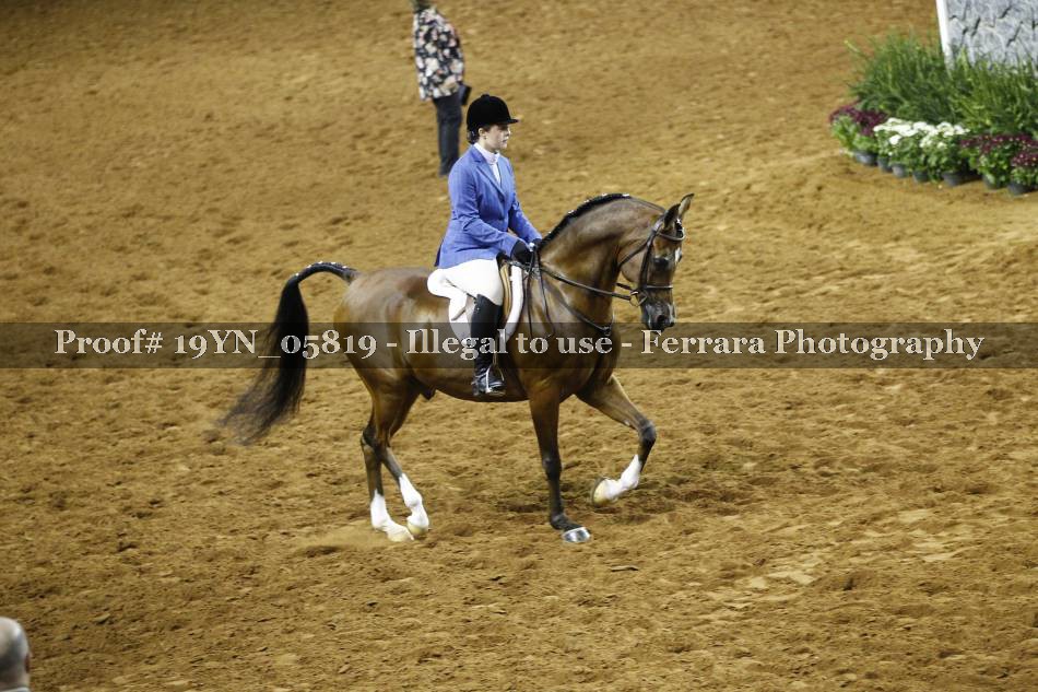 Proof 19YN_05819