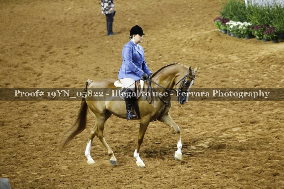 Proof 19YN_05822