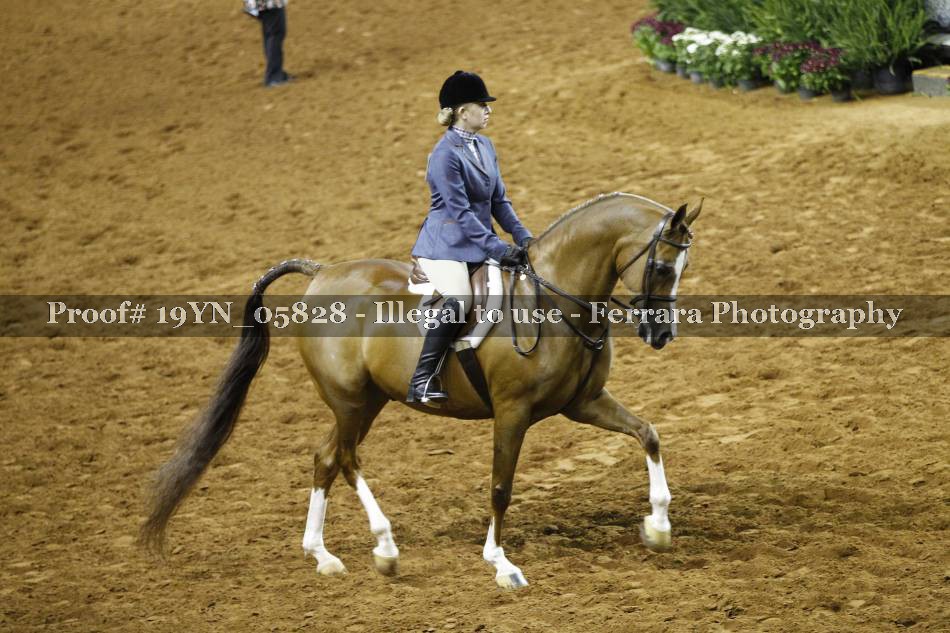 Proof 19YN_05828