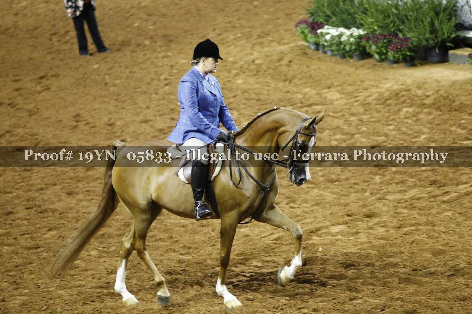 Proof 19YN_05833