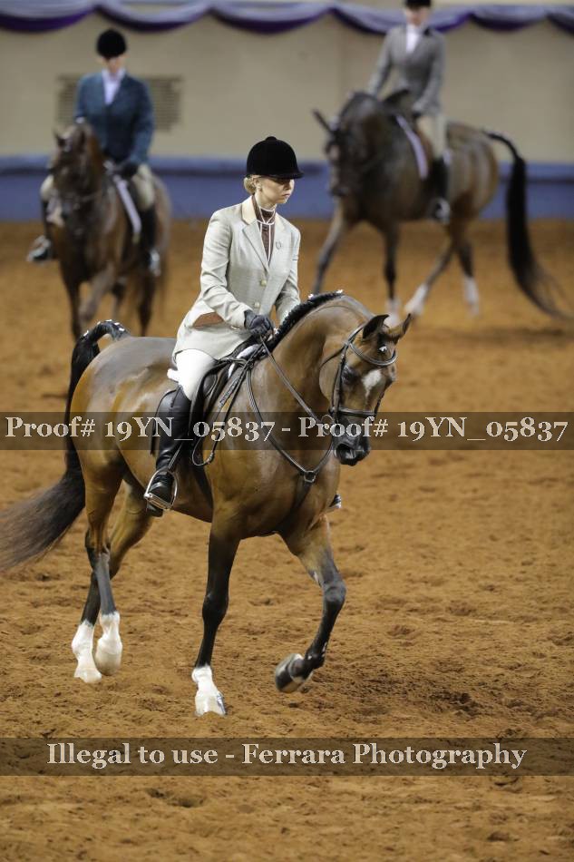 Proof 19YN_05837