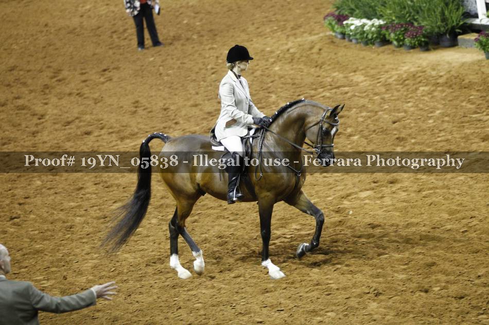 Proof 19YN_05838