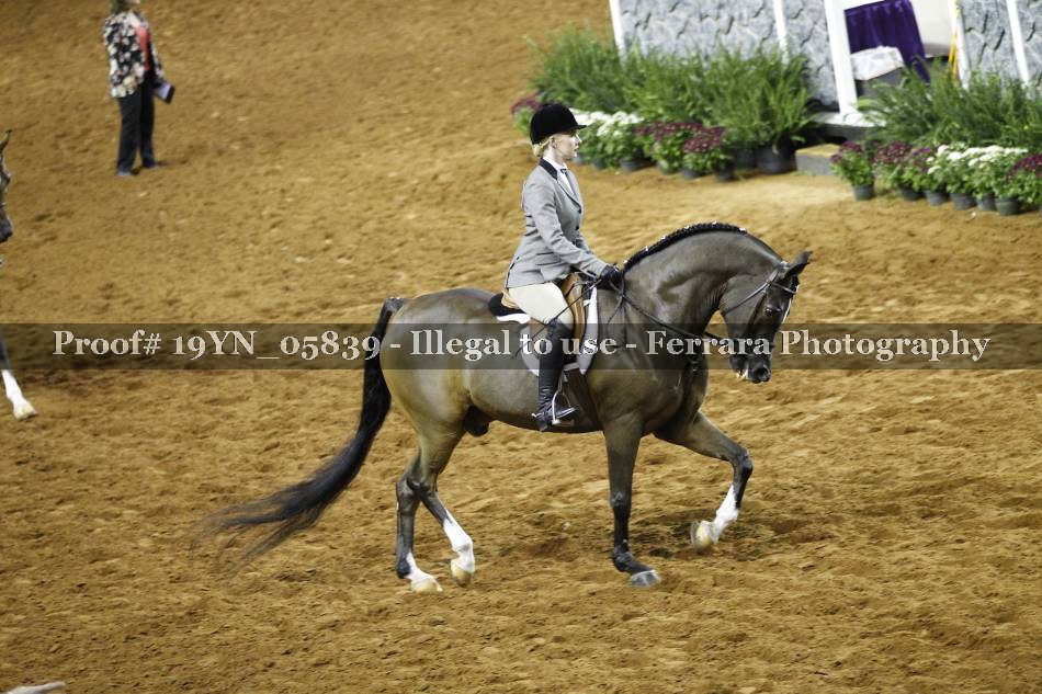 Proof 19YN_05839