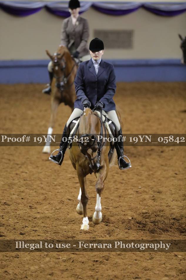 Proof 19YN_05842