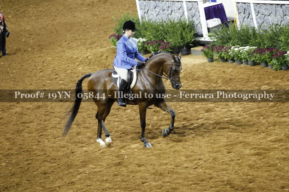 Proof 19YN_05844