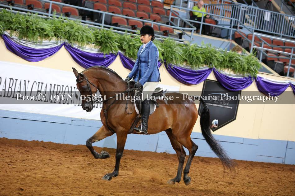 Proof 19YN_05851