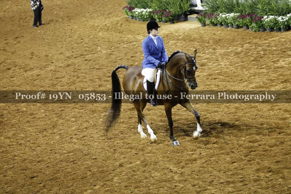 Proof 19YN_05853