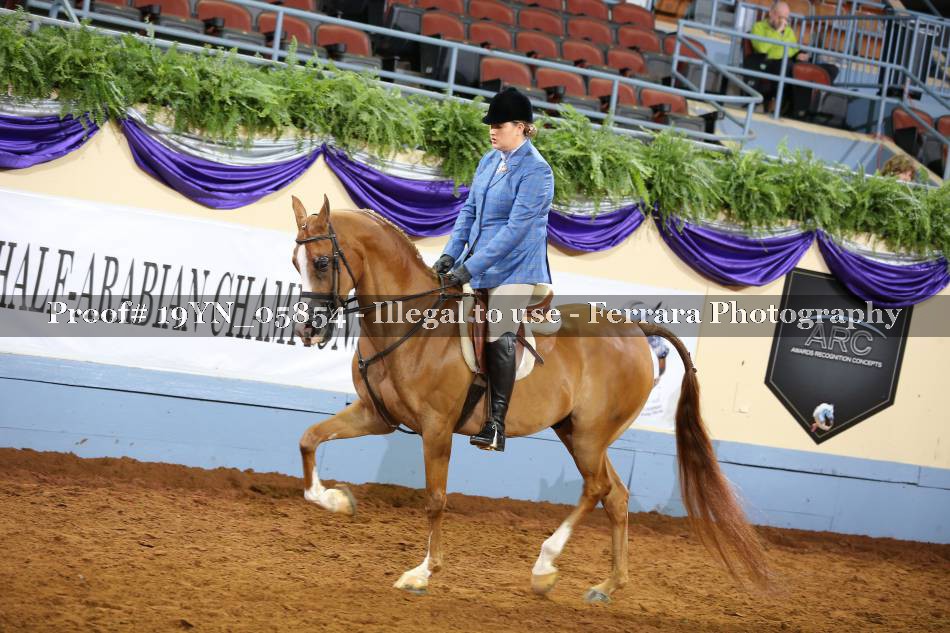 Proof 19YN_05854